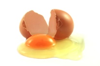 uova-colesterolo